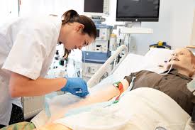 De Cruciale Rol van de Verpleegkundige in de Gezondheidszorg
