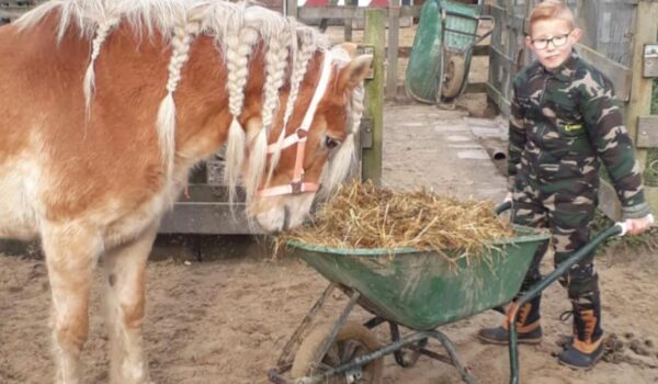 Betekenisvolle activiteiten op de zorgboerderij: dagbesteding in de natuur